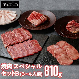 【 焼肉トラジ 】スペシャルセットB 810g 3～4人前 焼き肉 食べ比べ 高級 焼肉セット 4人前 肉ギフト 焼き肉ギフト お取り寄せ 焼肉用 焼肉 盛り合わせ 牛カルビ タン塩 和牛 牛タン バーベキュー 肉セット 和牛カルビ カルビ ハラミ