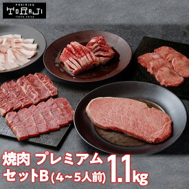 【焼肉トラジ】プレミアムセットB 1,100g 4~5人前 黒毛和牛 サーロイン 焼肉 食べ比べ 高級 焼肉セット 4人前 冷凍焼肉 盛り合わせ 詰め合わせ お取り寄せ BBQ肉 BBQセット 焼き肉ギフト 牛タン 和牛カルビ ハラミ ダイヤモンドカットカルビ 父の日