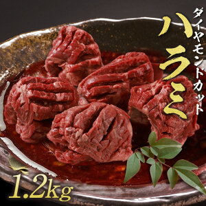 【 焼肉トラジ 】 ダイヤモンドcut ハラミ 1.2kg (120g×10パック) 訳あり トラジ toraji 焼肉ハラミ 牛ハラミ焼肉 はらみ 厚切り 牛ハラミ お得 ギフト 焼肉 焼肉セット 焼き肉 赤身 高級肉 焼き肉ギ