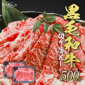 【 焼肉トラジ 】 黒毛和牛 切り落とし リブロース 500g (250g×2パック) 肉 お肉 toraji プレゼント ギフト 牛肉切落し 焼肉 焼肉切り落とし 焼き肉セット 焼き肉ギフト 黒毛和牛焼肉 和牛切り落とし 国産牛 すき焼き しゃぶしゃぶ すき焼肉 すき焼き牛肉 すき焼き用牛肉