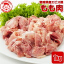 宮崎県産エビス鶏 もも肉 ■生鮮品■ 鳥もも肉 鶏肉 お取り寄せグルメ 肉 唐揚げ【宮崎県産】【九州】【鶏肉】【業務用】