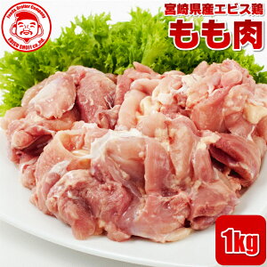 {茧YGrX{  Ni  { 񂹃O  gy{茧YzyBzy{zyƖpz