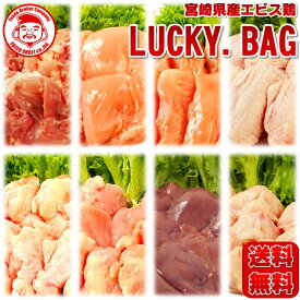 【送料無料】チキンズ・ラッキーバッグ［8kg］■生鮮品■【福袋】【宮崎県産】【鶏肉】