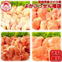 【送料無料】エビス鶏よかこっせん福袋［4kg］■生鮮品■【福袋】【宮崎県産】【鶏肉】