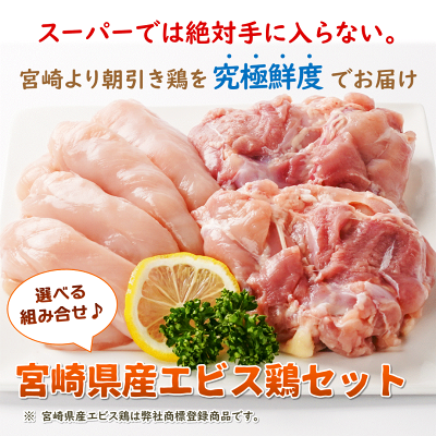 宮崎県産エビス鶏セット