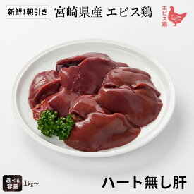宮崎県産 エビス鶏 ハート無し肝（1kg～） ■ 生鮮品・朝引き ■鶏レバー 鶏肉 業務用 お取り寄せグルメ