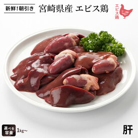 宮崎県産 エビス鶏 肝[レバー]（1kg～） ■ 生鮮品・朝引き ■鶏レバー 鶏肉 業務用 お取り寄せグルメ