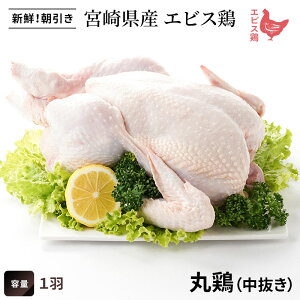 {茧YGrX{ ی{ [1H]Niی{ { 񂹃O   y[Xg`Lzy{茧YzyBzy{z