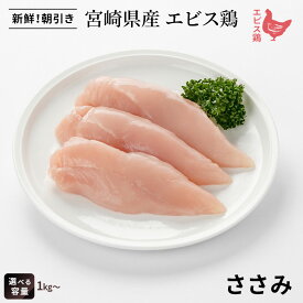 宮崎県産 エビス鶏 ささみ[1kg]■ 生鮮品・朝引き ■鶏ささみ 鶏肉 業務用 お取り寄せグルメ