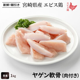 宮崎県産 エビス鶏 ヤゲン軟骨（1kg） ■ 生鮮品・朝引き ■（※お一人様4kgまで）鶏軟骨 鶏肉 業務用 お取り寄せグルメ