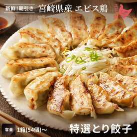 【国産鶏肉100％】宮崎エビス鶏 とり餃子[1箱(54個)～]■冷凍品■ 国内製造 鶏餃子 ヘルシー お取り寄せ 贈り物 お歳暮 ギフト