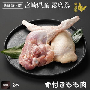 { t [2{]Nit { 񂹃O  {  y{茧YzyƂzy{zyfBAЉz