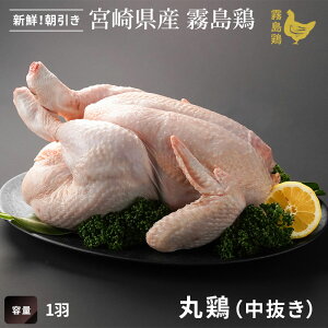 { ی{ []Niی{ { 񂹃O  {  y{茧YzyƂzy{zyfBAЉz