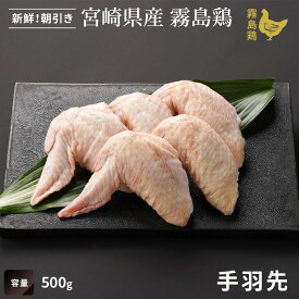 【宮崎県産】霧島鶏 手羽先（500g）■生鮮品・朝引き■（※お一人様2kgまで）銘柄鶏 手羽先 鶏肉 唐揚げ 焼き鳥 業務用