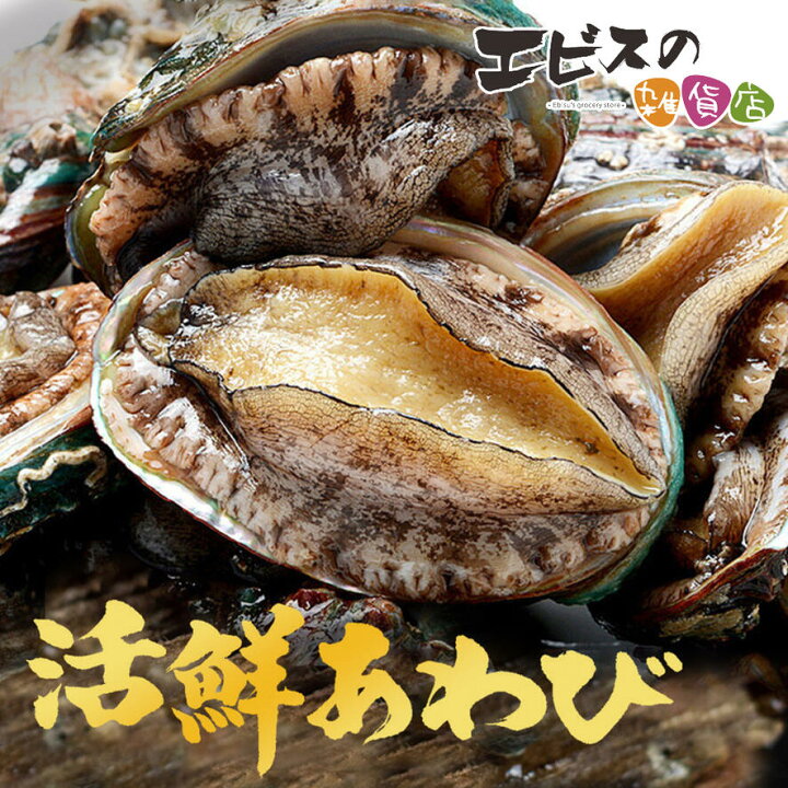 楽天市場】あわび 冷凍あわび 蝦夷 アワビ 活鮮あわび 冷凍アワビ 蝦夷 