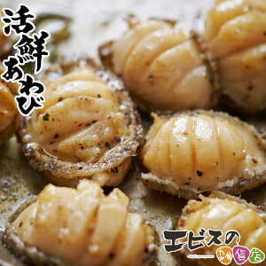  Zbg kt 500g \ 3lO ڈ΂ Ⓚ  Ⓚ ڈ Lދlߍ킹 Ⓚ Ar G]Ar ڈ ڈ΃Ar C̍Klߍ킹 L hg Xe[L  