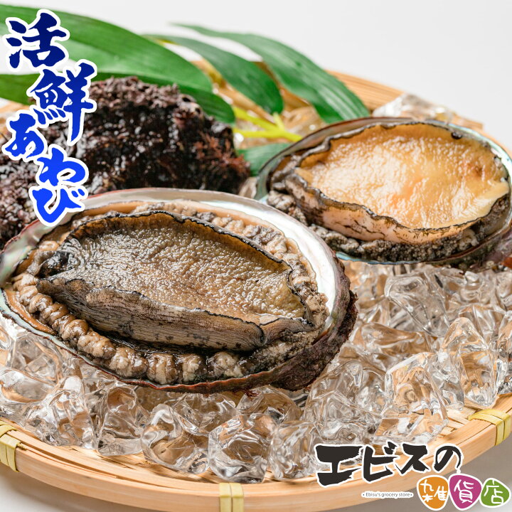 楽天市場】あわび 冷凍あわび 蝦夷 アワビ 活アワビ 活あわび 活鮮 