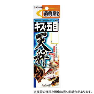 ߐj P-271 LXܖړV 10