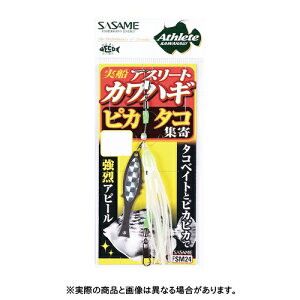 ߐj FSM24 DJnM sJ^RW Vo[