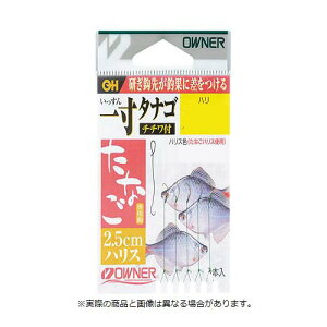 y[։zI[i[j 26579 ꐡȂ2.5cmnXi``tj 