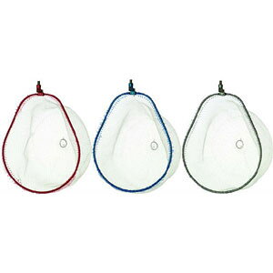 h@@fBOt[@ino@bN^Cv@STCY