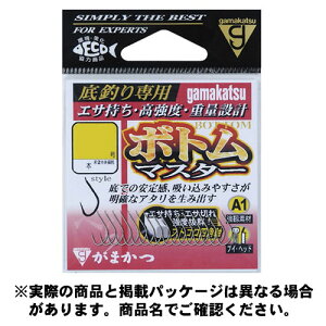 ܂ A1(G[) {g}X^[  5 17{ n