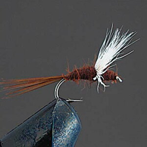 y[։zo[q COMPLETE FLY mhCtCn D1Rp_ #14A#16