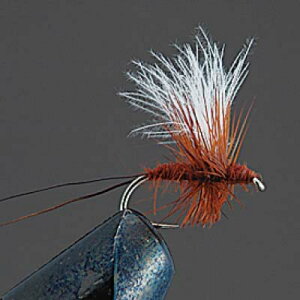 �o���[�q�� COMPLETE FLY �m�h���C�t���C�n D2 CDC�\���b�N�X�_��A (�u���E��) #14�A#16