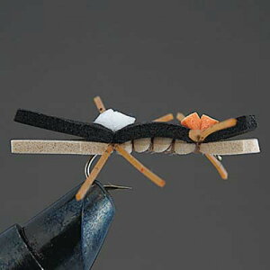 �o���[�q�� COMPLETE FLY �m�h���C�t���C�n D25 �`�F���m�u�C���A���g #10