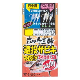 楽天市場 サビキ ホッケの通販