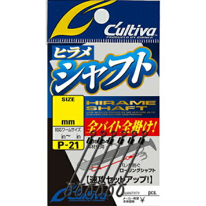 I[i[j 72821 P-21 qVtg SS