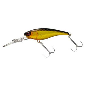 �y���[���։z�W���b�J�� SOUL SHAD 62DR (�\�E���V���b�h62DR) HL�L���N�� ���A�[