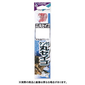 ߐj AA204 PtۃZCSiԁjt 12