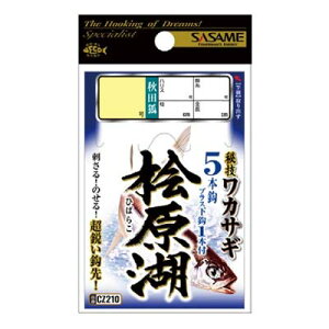 y[։zߐj CZ210 ZJTM O΁iHcρj 1