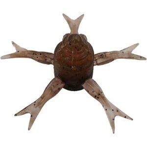 y[։zWbJ W~[wW42 5 KTKTeiKGr