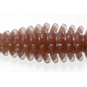 ꐽ bibibi oO 2.6in 8{ #46 AJ}cSP [