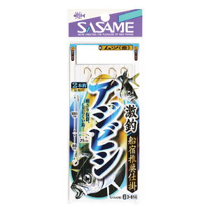 ߐj D-814 ރAWrV2{b() 11-3