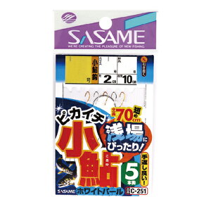 ߐj C-251 sJC`zCgp[5{b 2.5