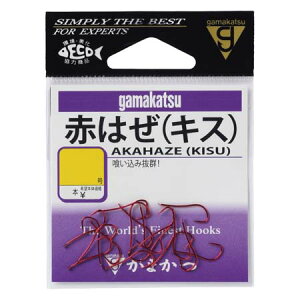 y[։z܂ Ԃ͂iLXj  o 7 17{