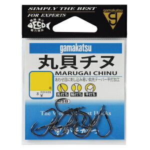 ܂ ۊL`k NSB o 4 12{