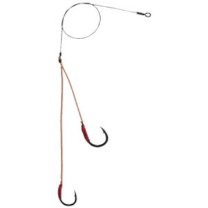 ޕ yؑz Pv[C[ 2{킹 14