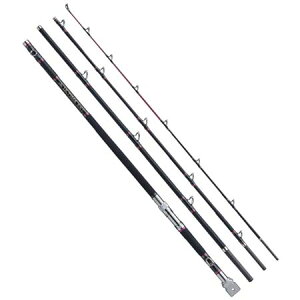 ޕ yCAMEXz ULTIMA NG 480MX-4