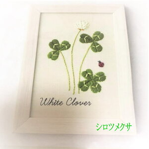 hJ ؘaq 12̎hJ蒟@̂@|@lt@VcNT@イ@hイLbg ԁ@hイ@@(OUI-03)