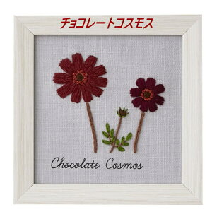 hJ ؘaq 12̎hイ蒟@`R[g@hイ@L^[@hイLbg @ԁ@hイ@̂@|@i`R[gRXXjt[t@11.7