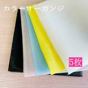 n JbgNX5FZbg I[KW[n hイp J[I[KW[ JbgNX5FZbg 45×55cm e1F5 (-H)