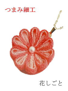 ܂ݍ׍H@(dۂ܂݁j@a|@ԂƁ@RT[WNbv@@킢@RT[WNbvzCg@ԁ@@̂@|@@߂񐶒nJ