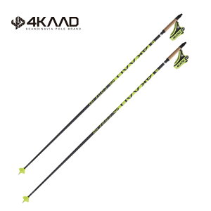 y130E135cmE150cmztH[J[h NXJg[XL[p|[ CODE HD 4P10104 [VO NJ XL[}\ XCXL[ mfBbN XgbN 4KAAD 2019-2020f