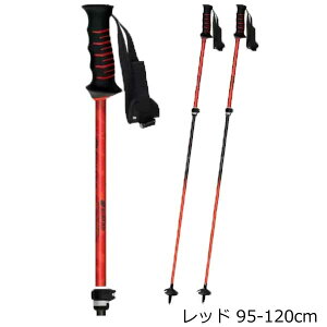 Vim Lk|[ XL[|[ FREE FAST  yʁ{I[Ehf XgbN TCY { SINANO 2025-26