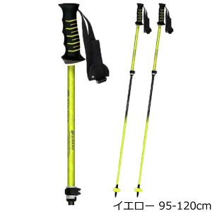 Vim Lk|[ XL[|[ FREE FAST  yʁ{I[Ehf XgbN TCY { SINANO 2025-26