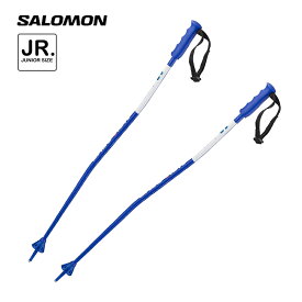 サロモン ジュニア GSスキーポール L41177000 S/RACE JR GS Blue 100cm 105cm アルペン スキー ストック SALOMON 2023-24